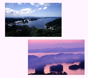 大高森